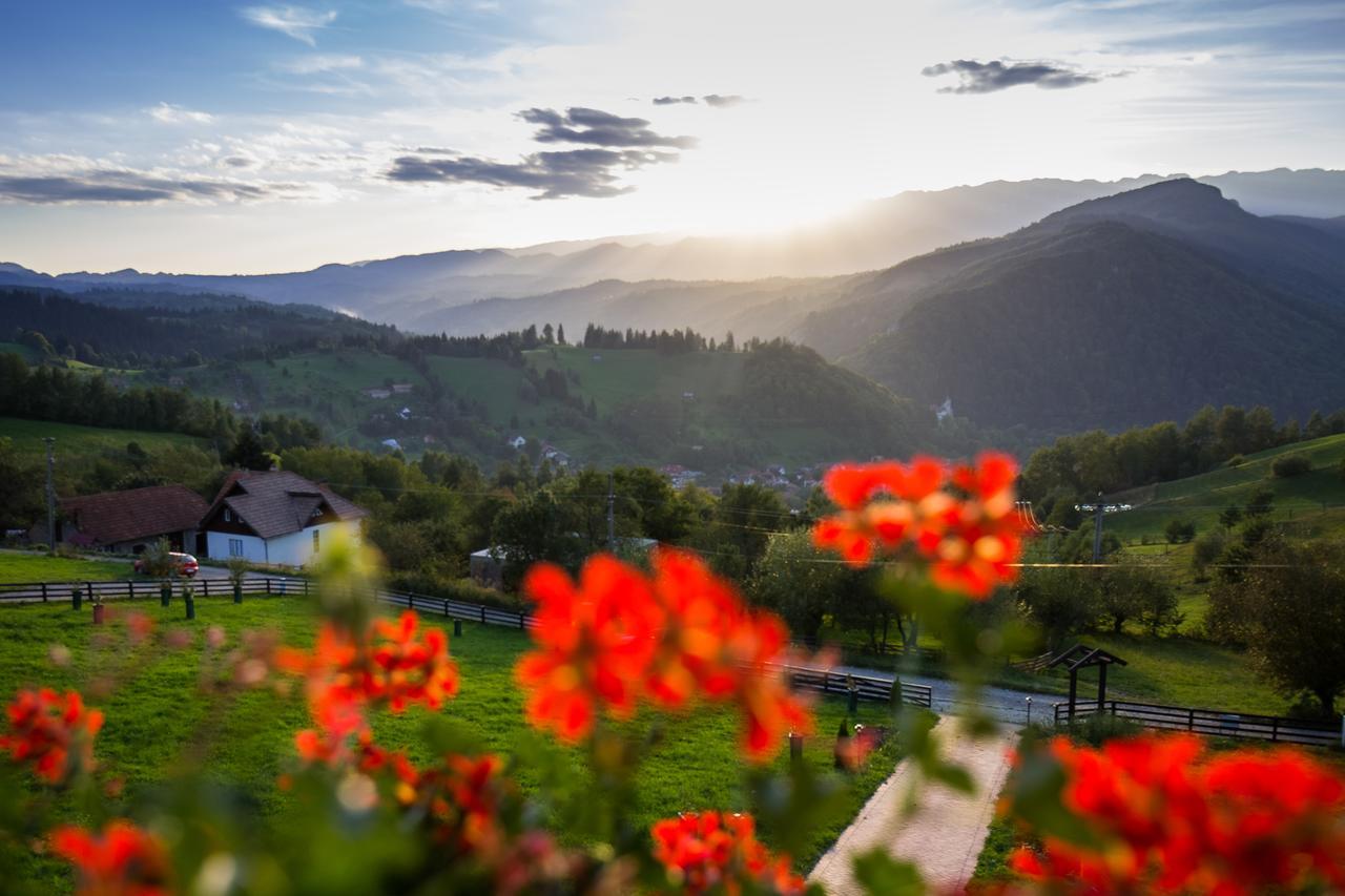 Bran Monte Crai Chalet Bagian luar foto