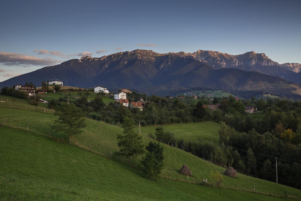 Bran Monte Crai Chalet Bagian luar foto