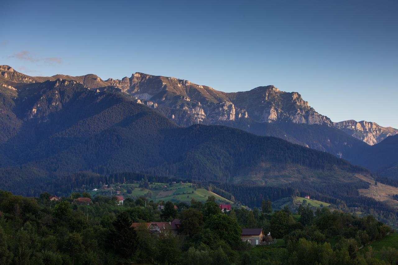 Bran Monte Crai Chalet Bagian luar foto