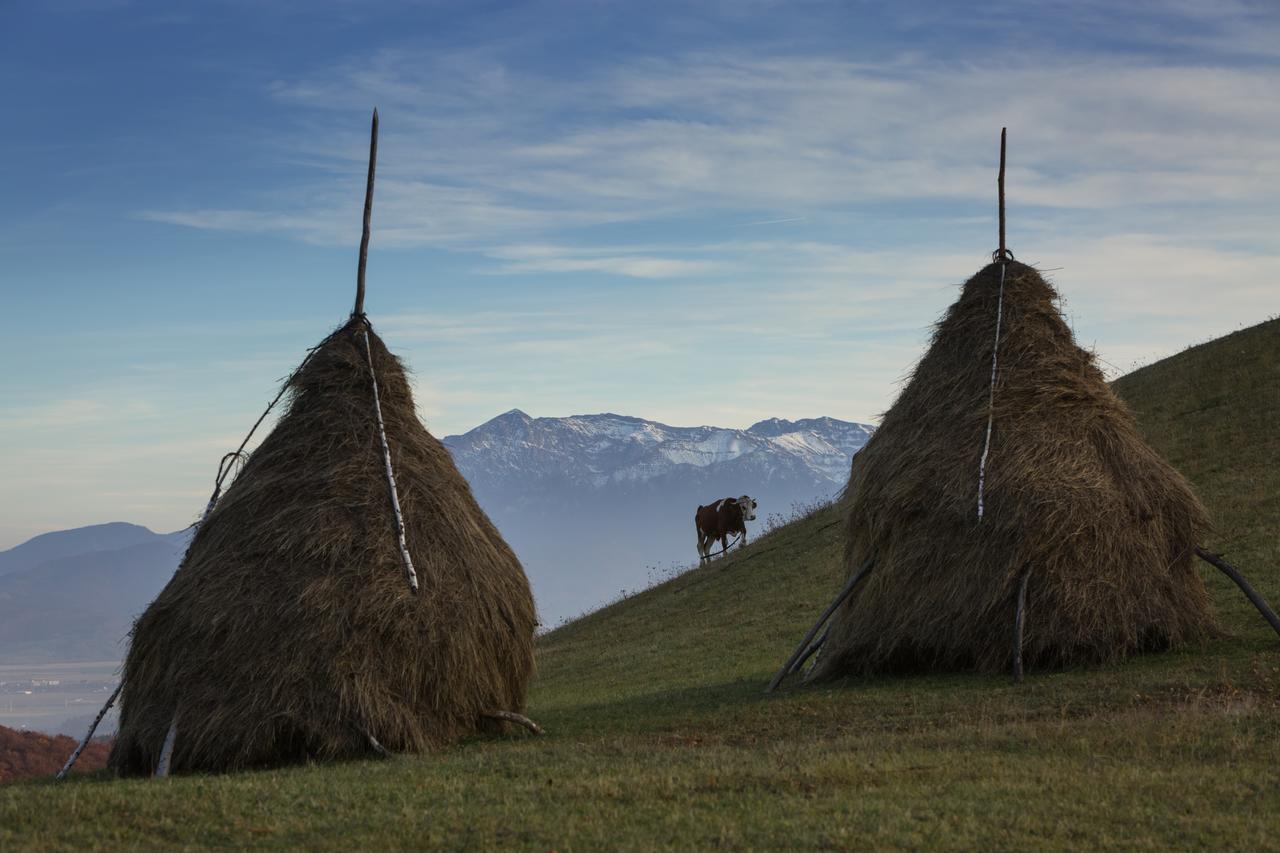 Bran Monte Crai Chalet Bagian luar foto