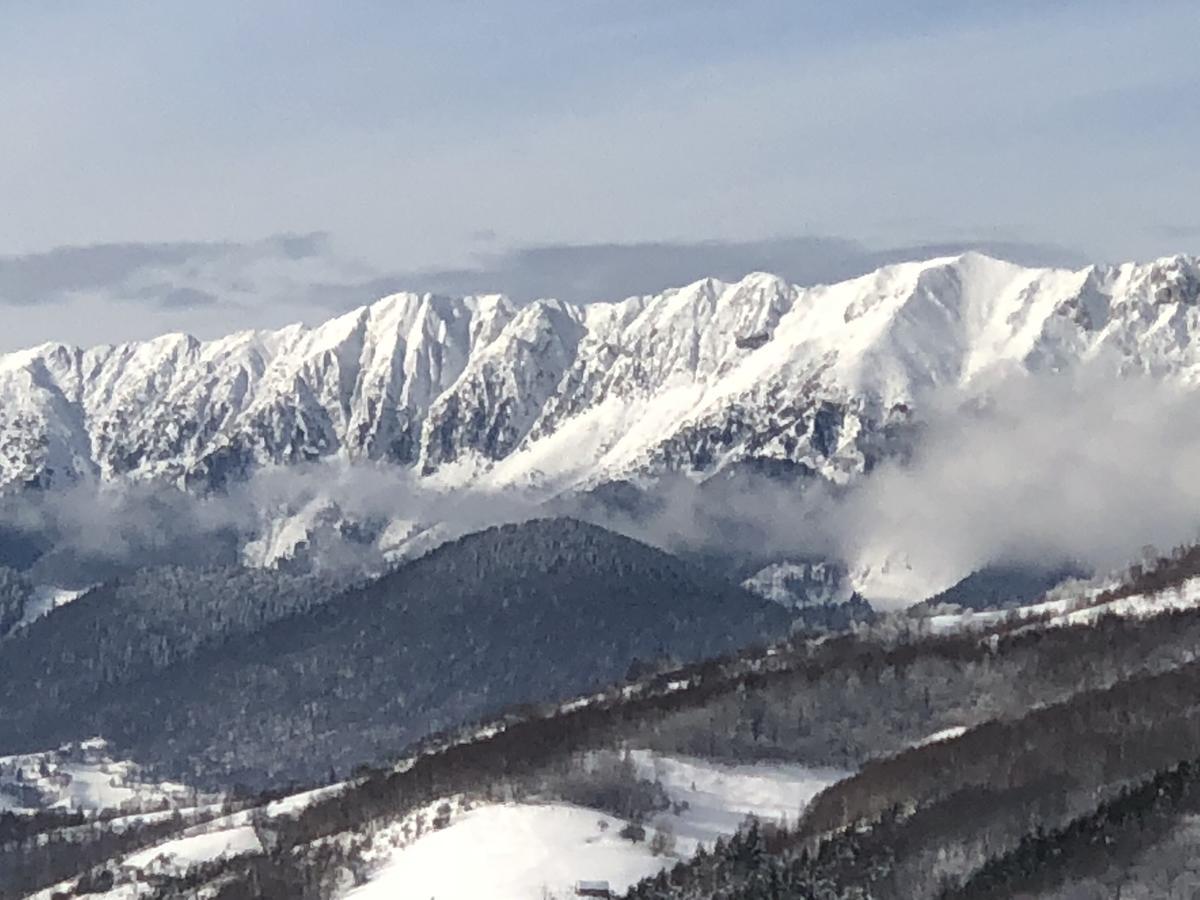 Bran Monte Crai Chalet Bagian luar foto
